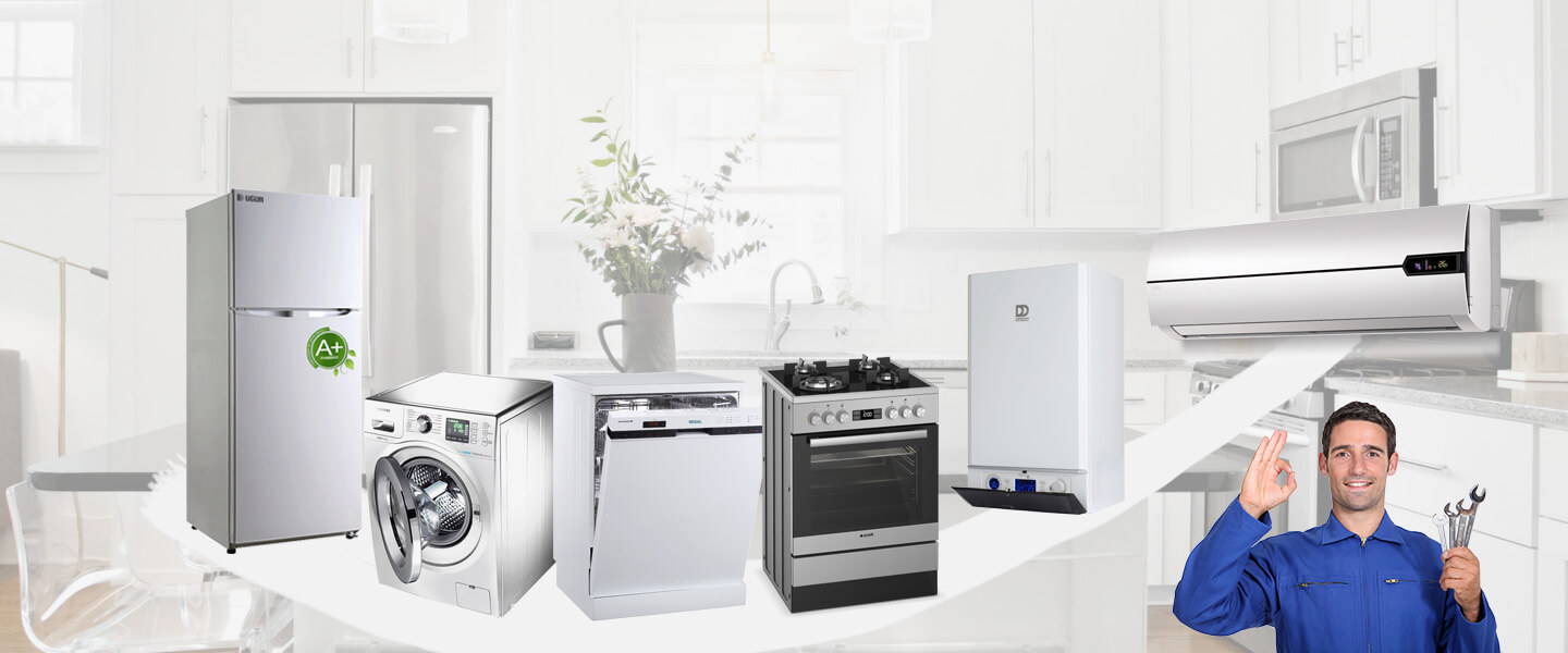 Özalp Smeg Servisi